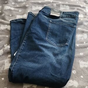 Torrid Blue Jeggings Classic Style